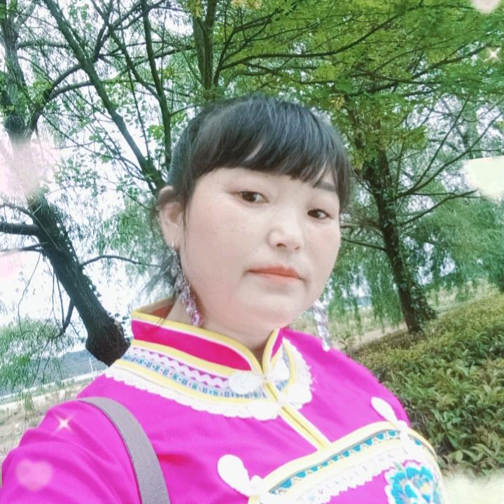 自由的飞翔