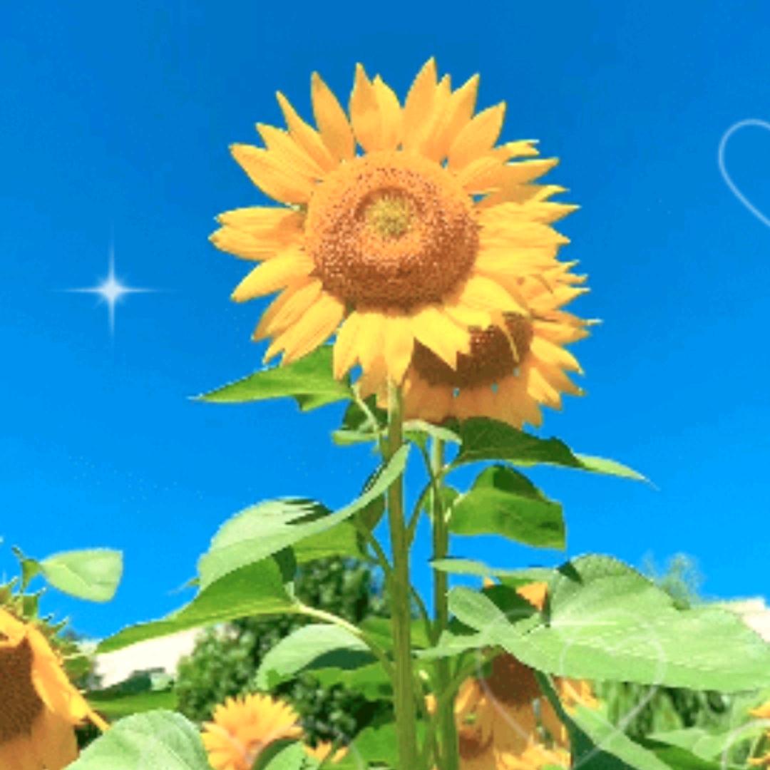 错把敷衍当承诺