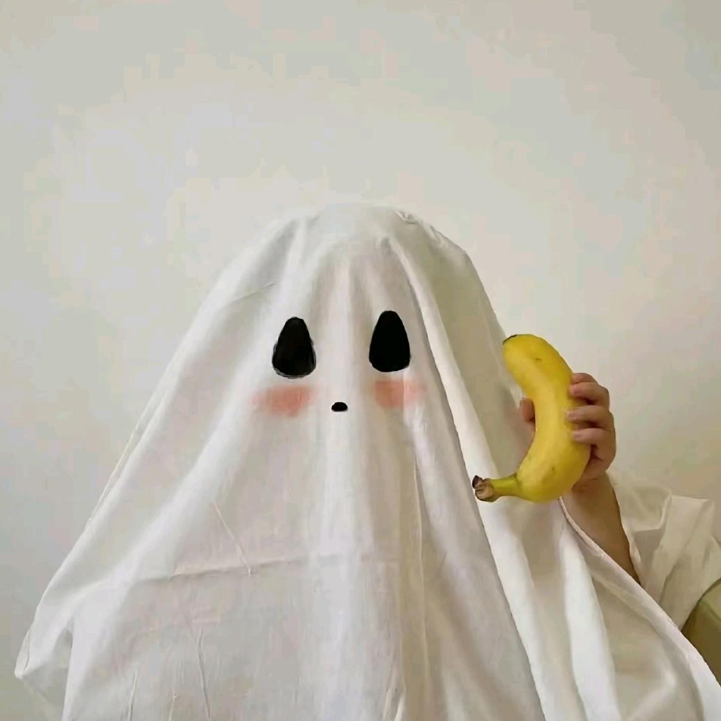 风帆小剑客