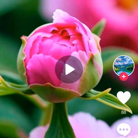 李昱槿