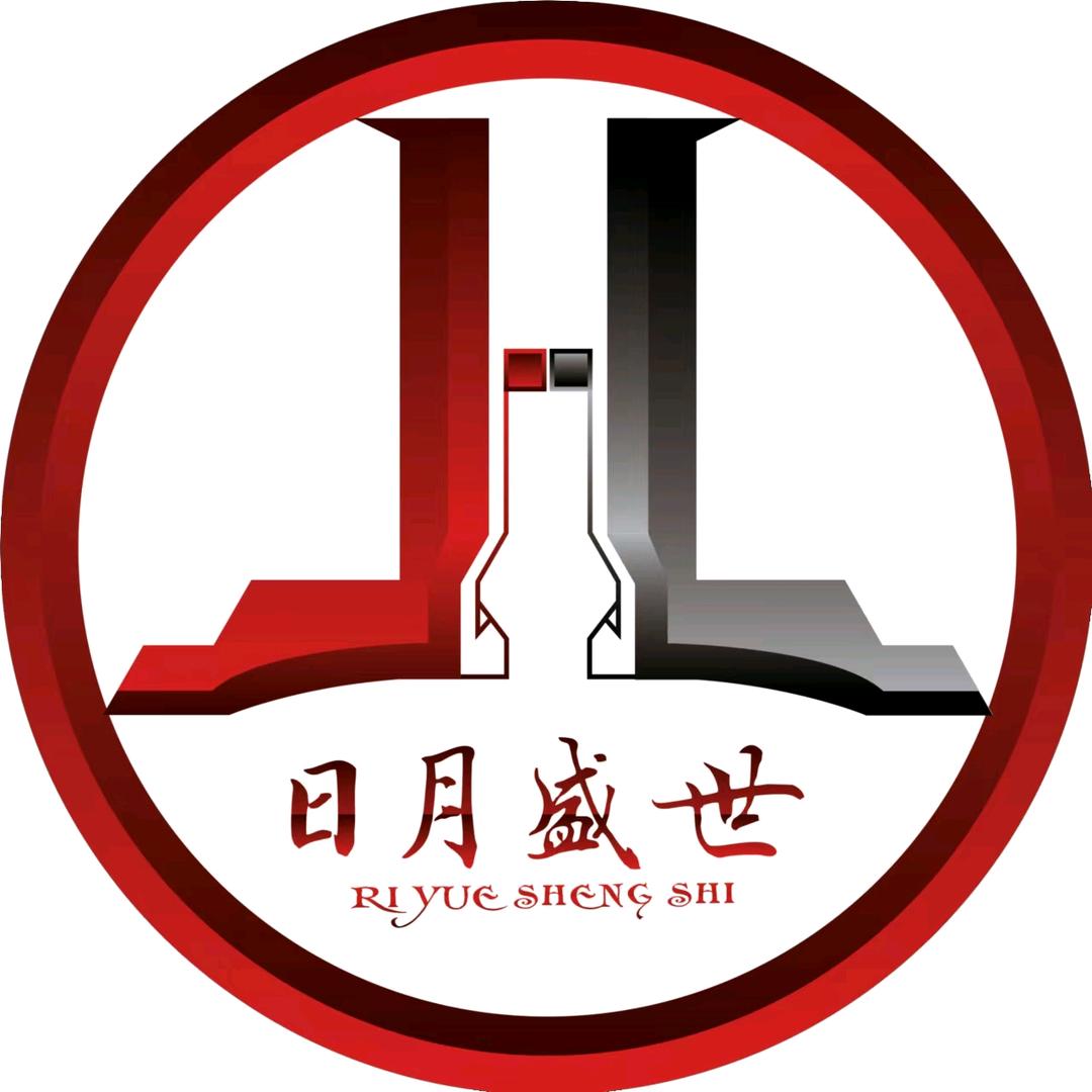 日月盛世大数据公司