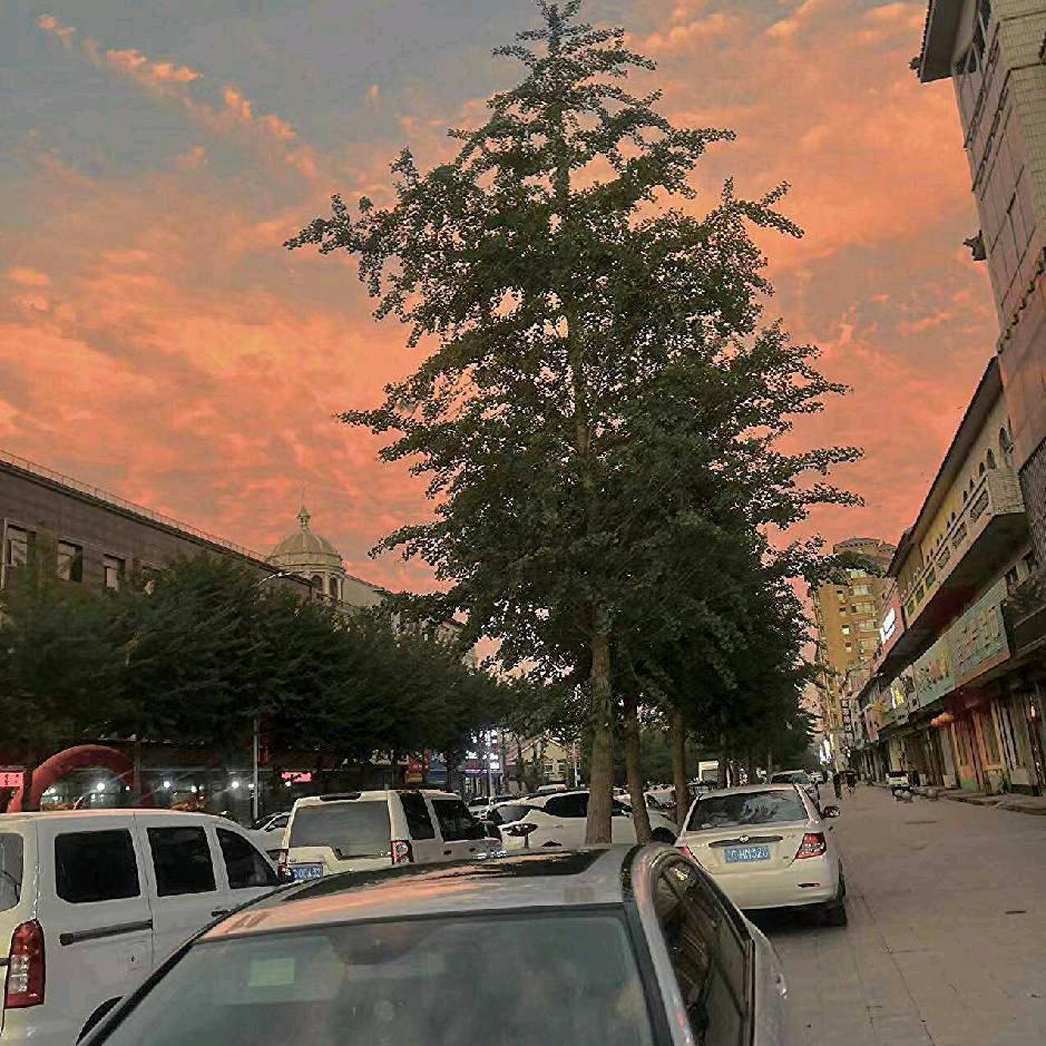 喝大米粥烫舌头