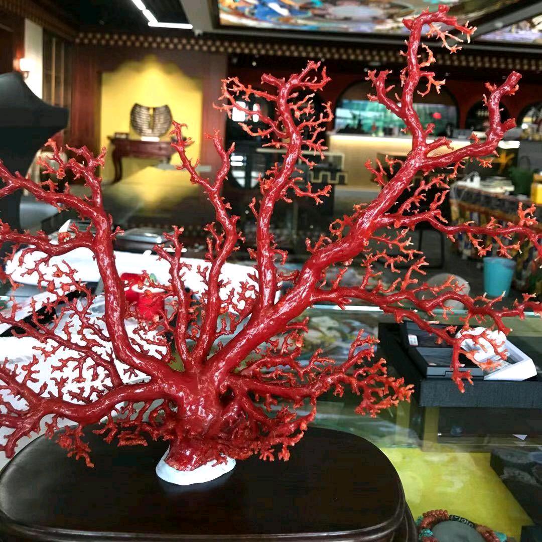 💐5⃣2⃣0⃣💰