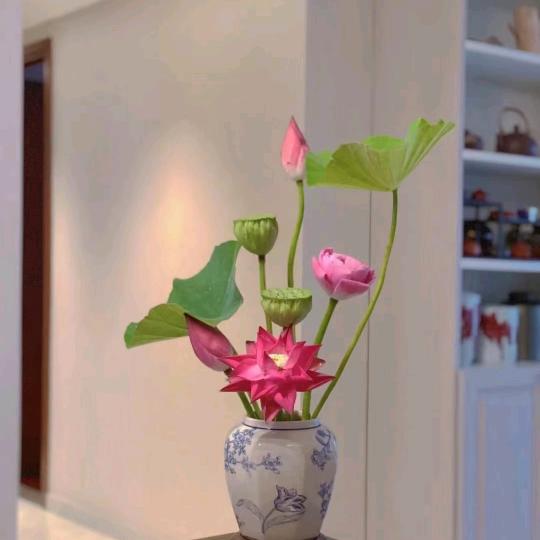 努力挣钱才是王道