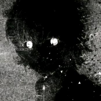 我早已心如槁木