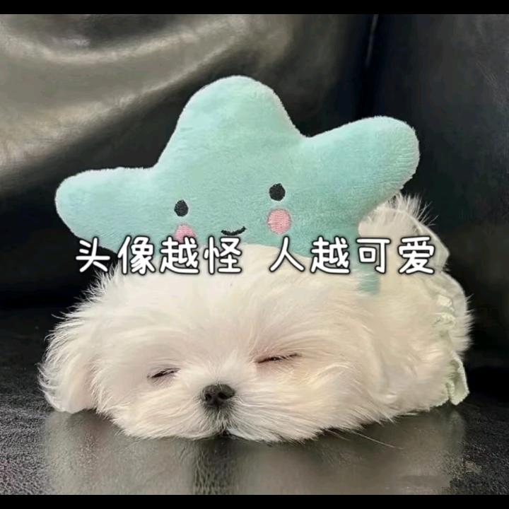 樂漪～