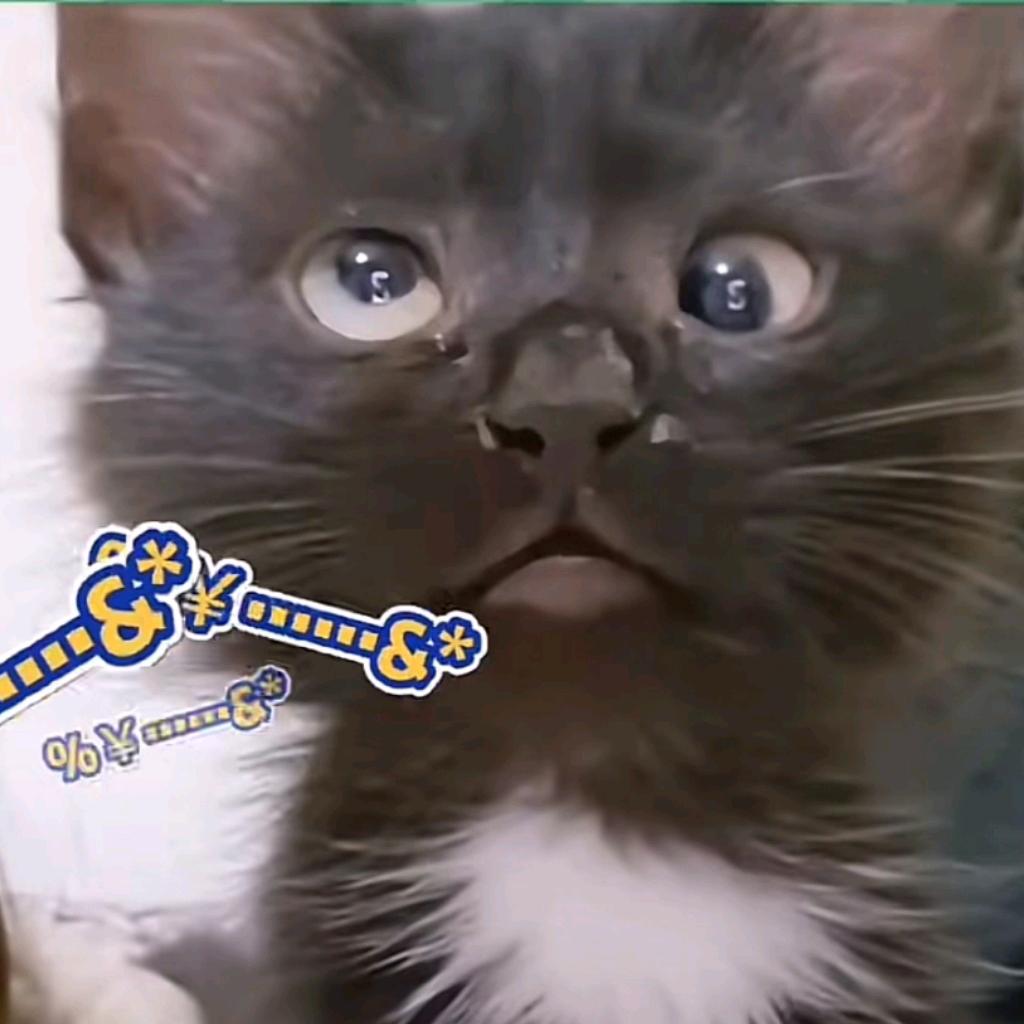 红鲤鱼与绿鲤鱼与驴