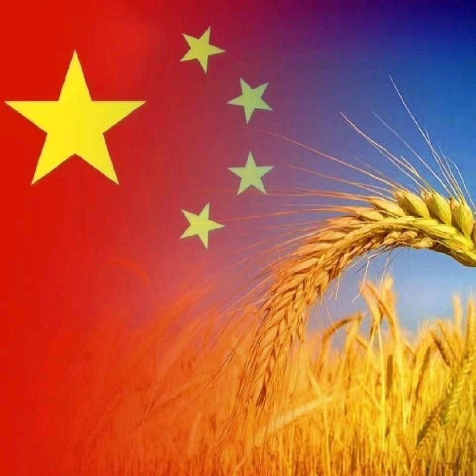 简单随性