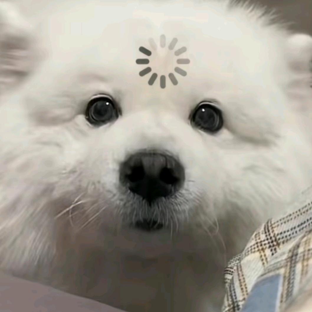 果子狸⛷️