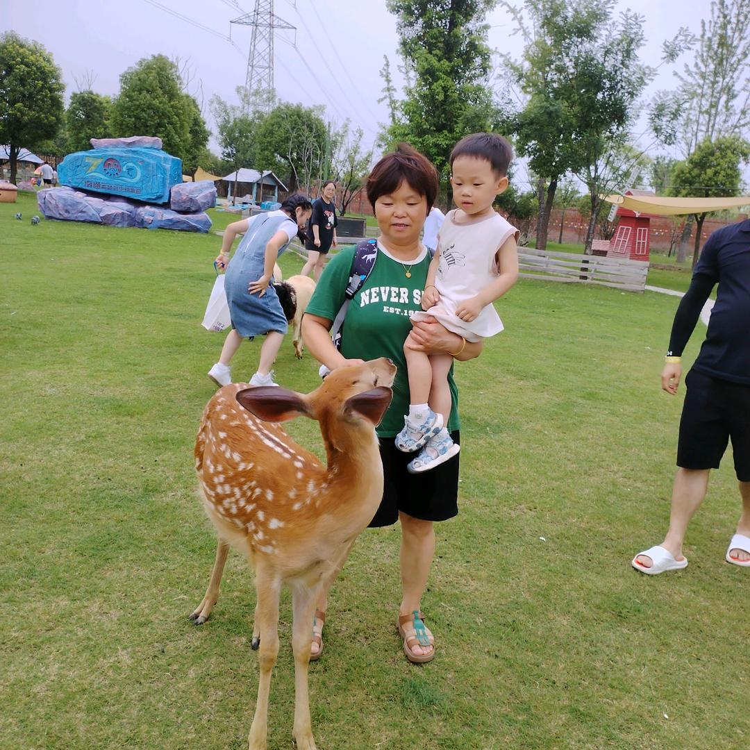 笑看红尘