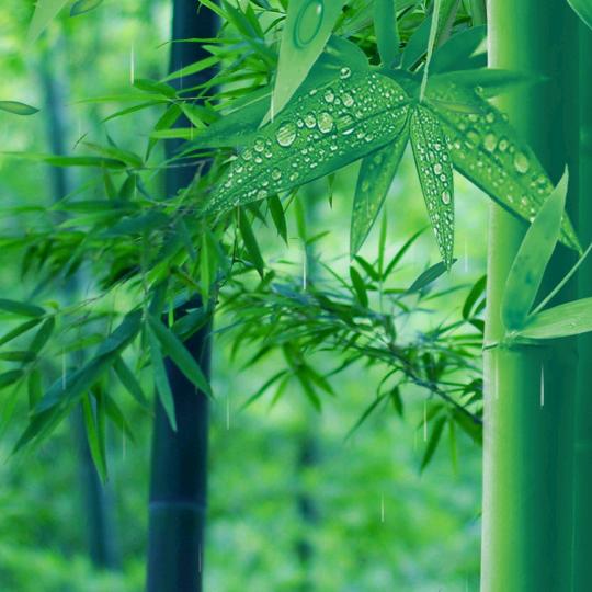 天音（专业深度清洗）