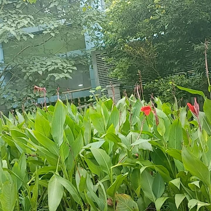 封心锁爱一辈子