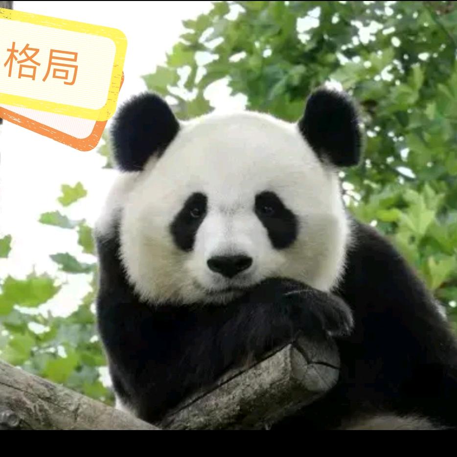 ʖ思之以南@