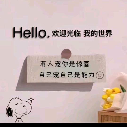 嗨！鱼的记忆