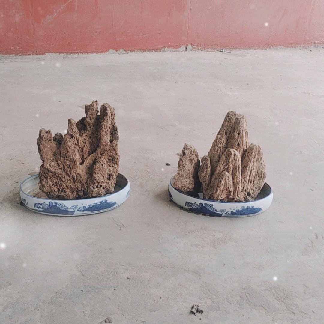 旗飞天下