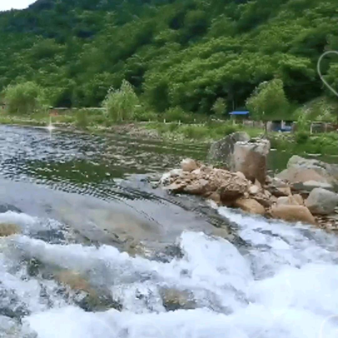 平淡