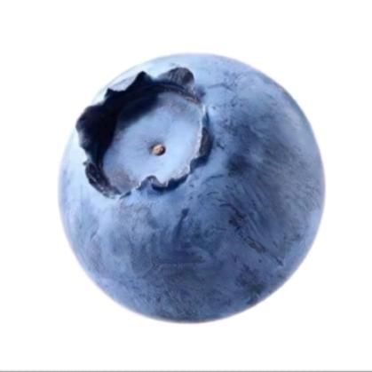 蓝莓🫐🧸