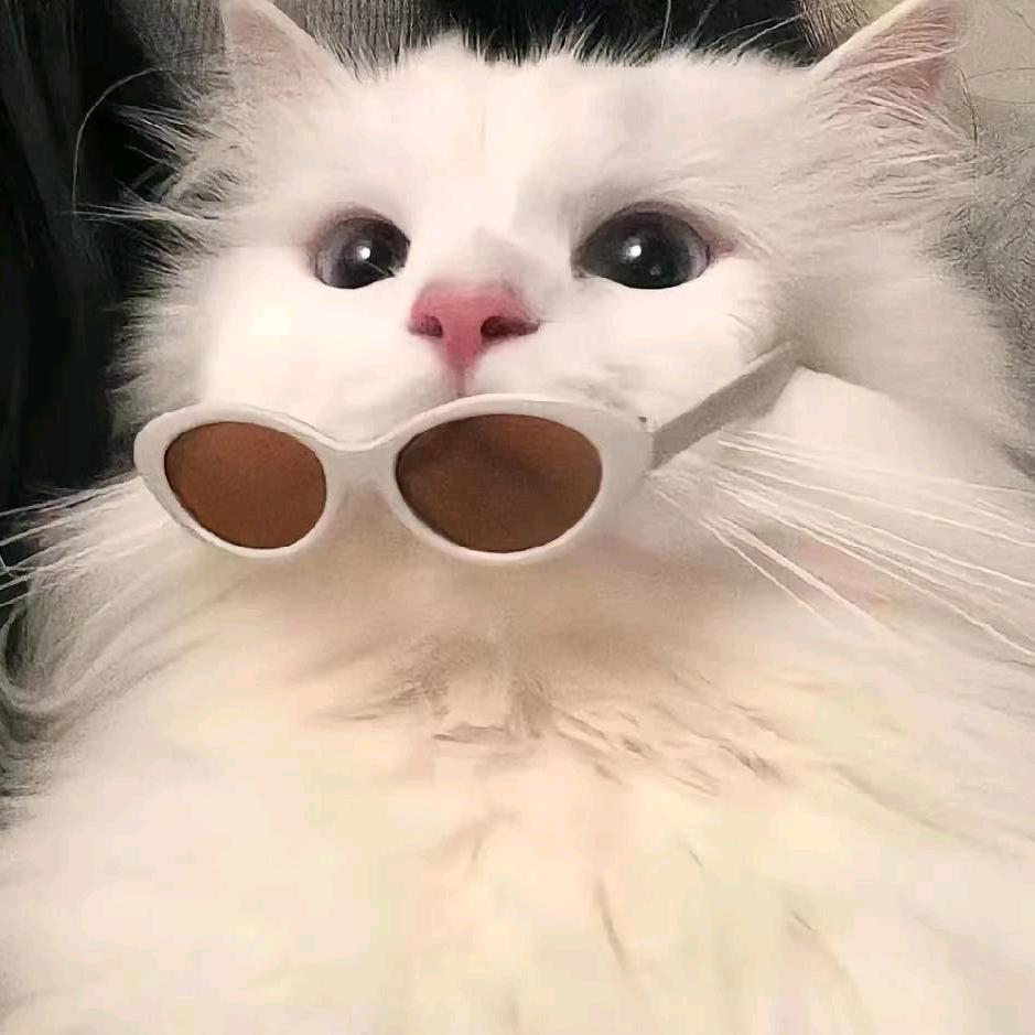 余念