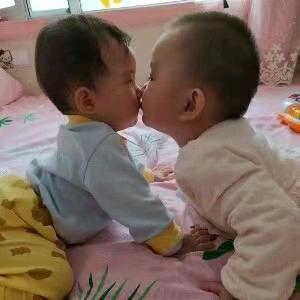 永不干枯的叶子