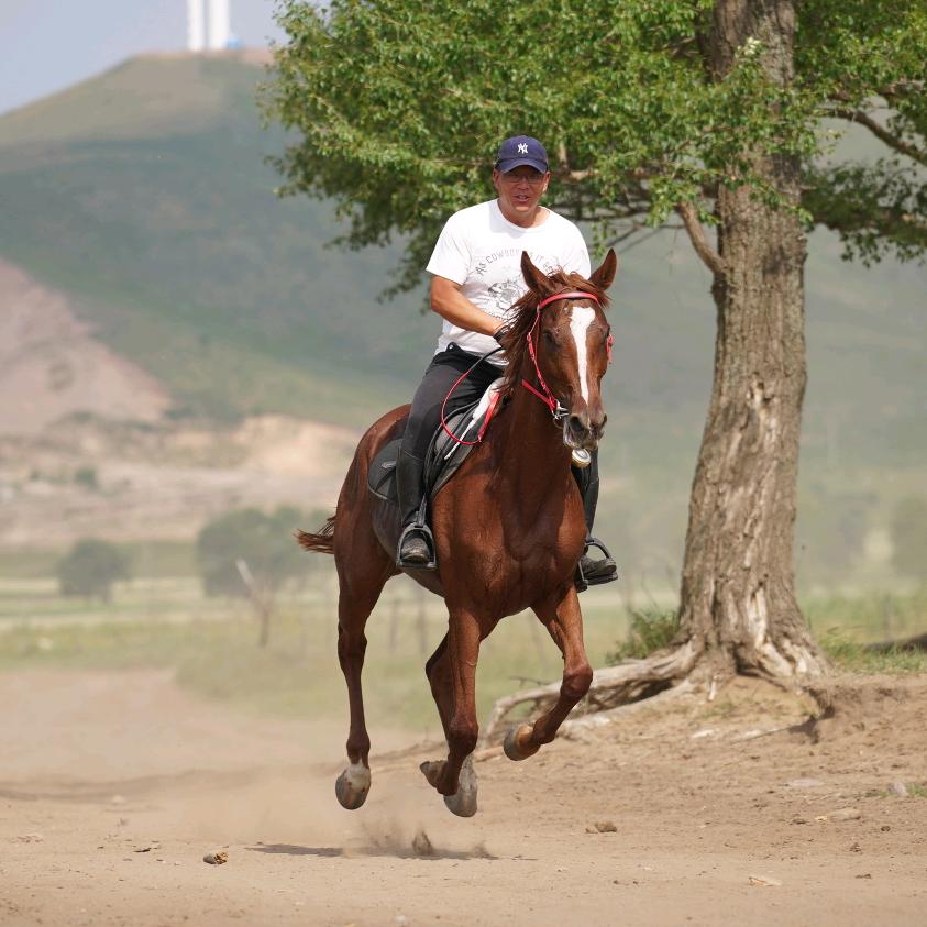 🐎小马真好骑