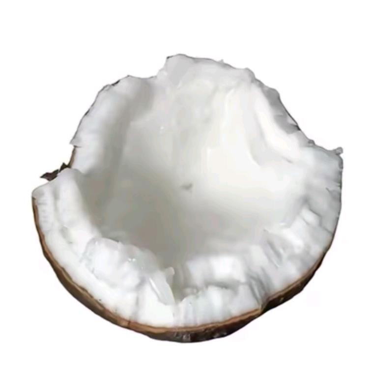 uu椰