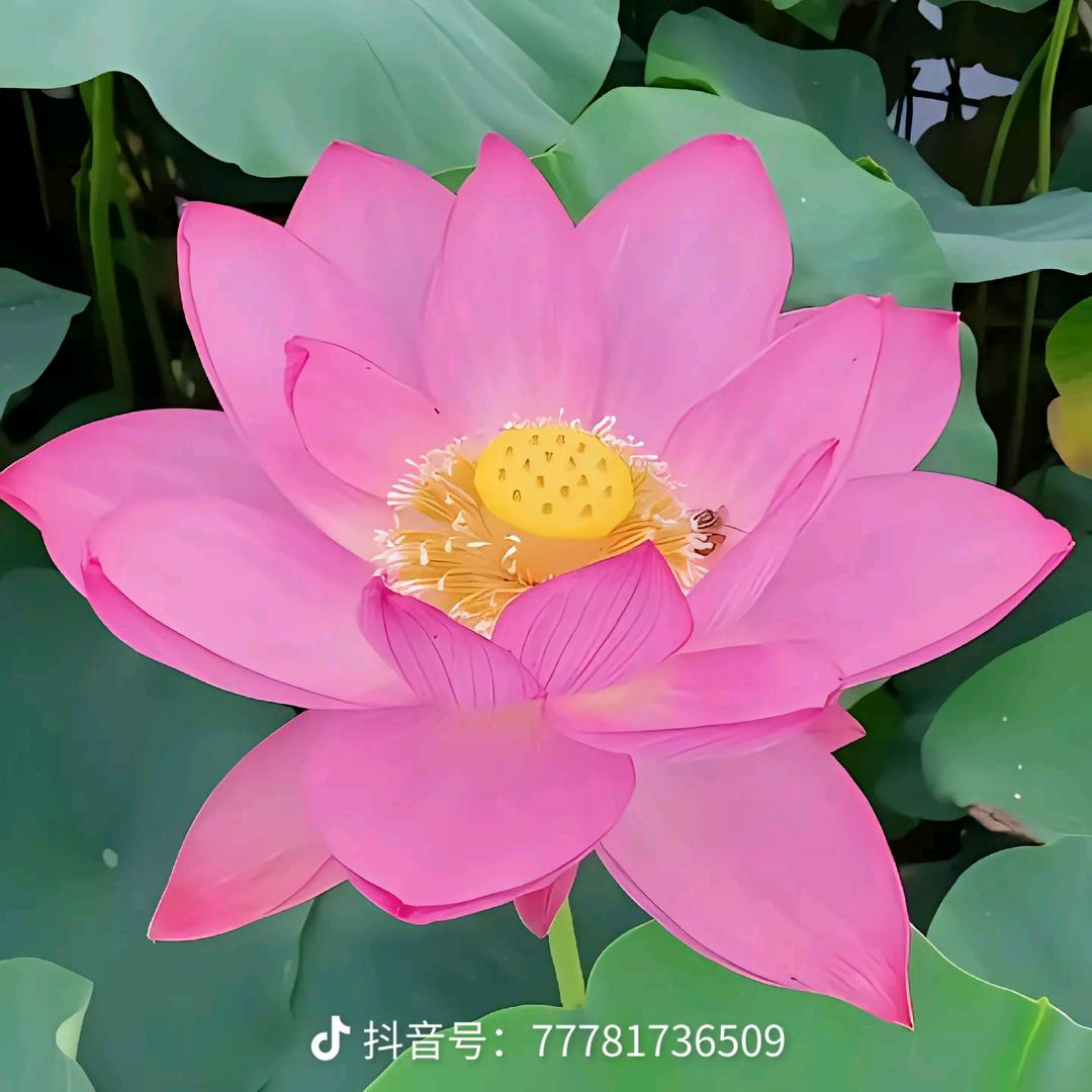 姚三会