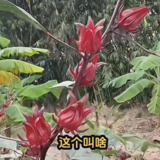 时间不等