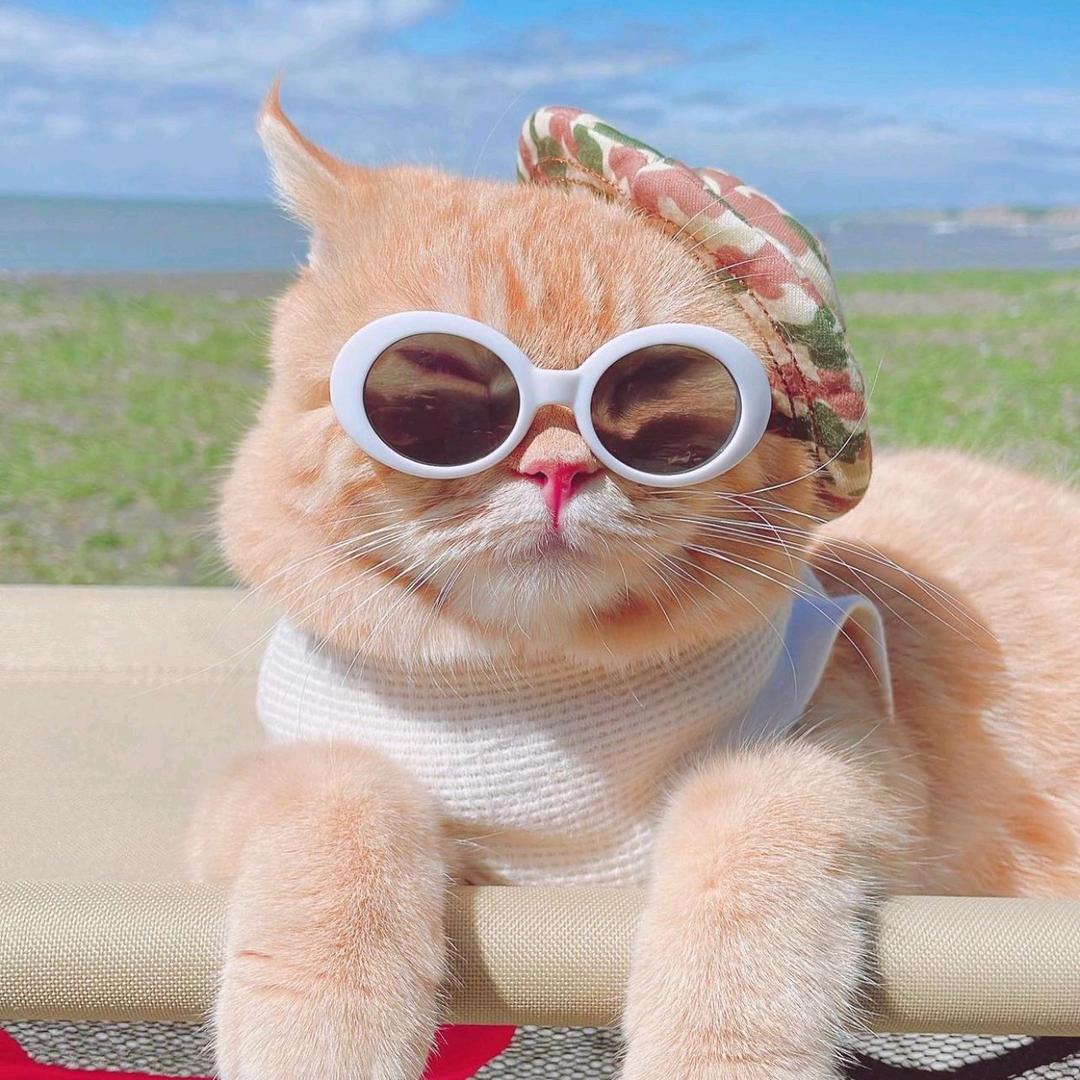 百优特专店-青柠