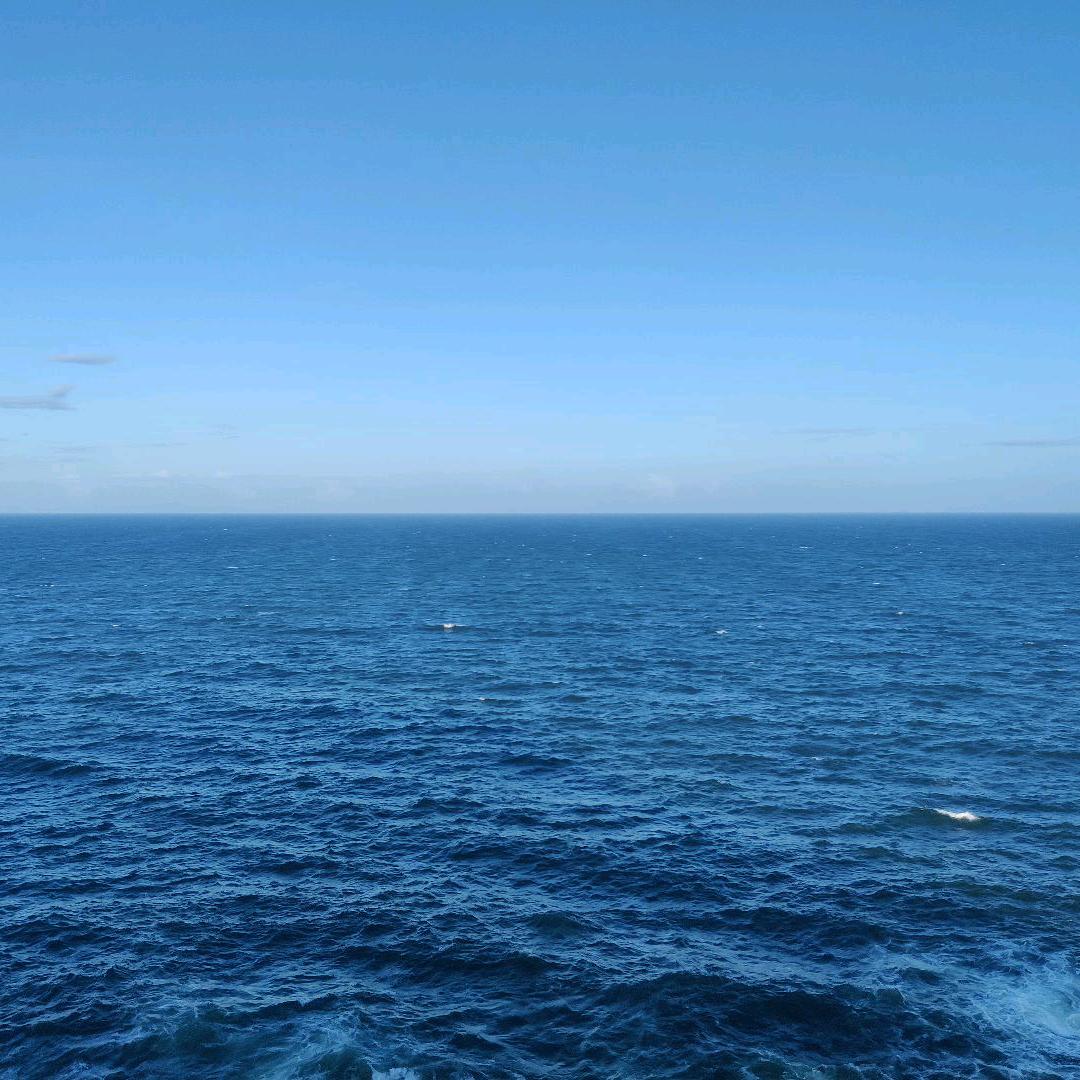 554545464