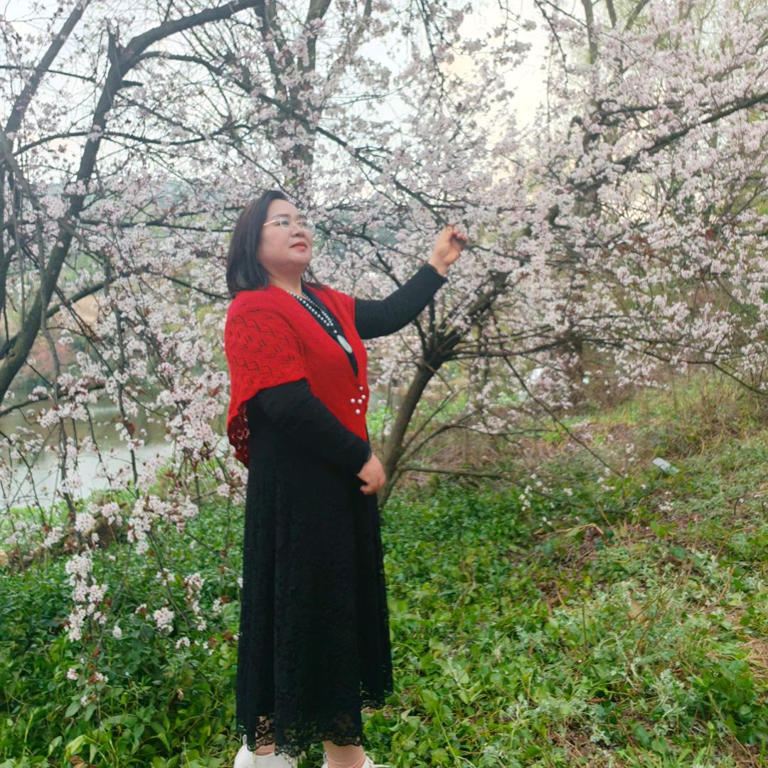 雨菊