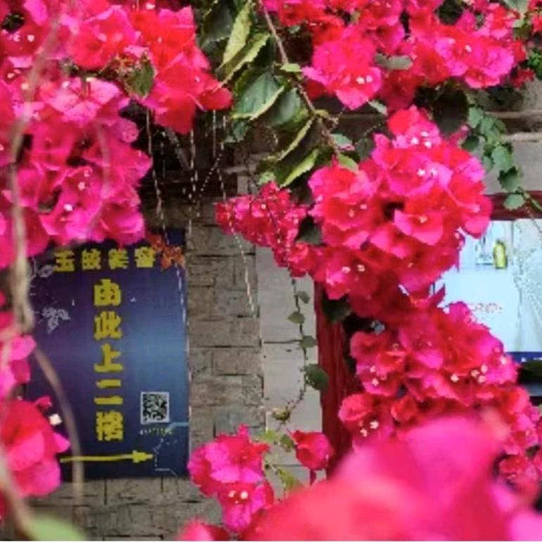 丹棱县玉皎美容店