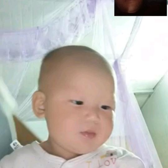 单身歌