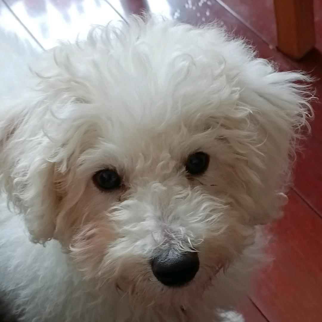 乐