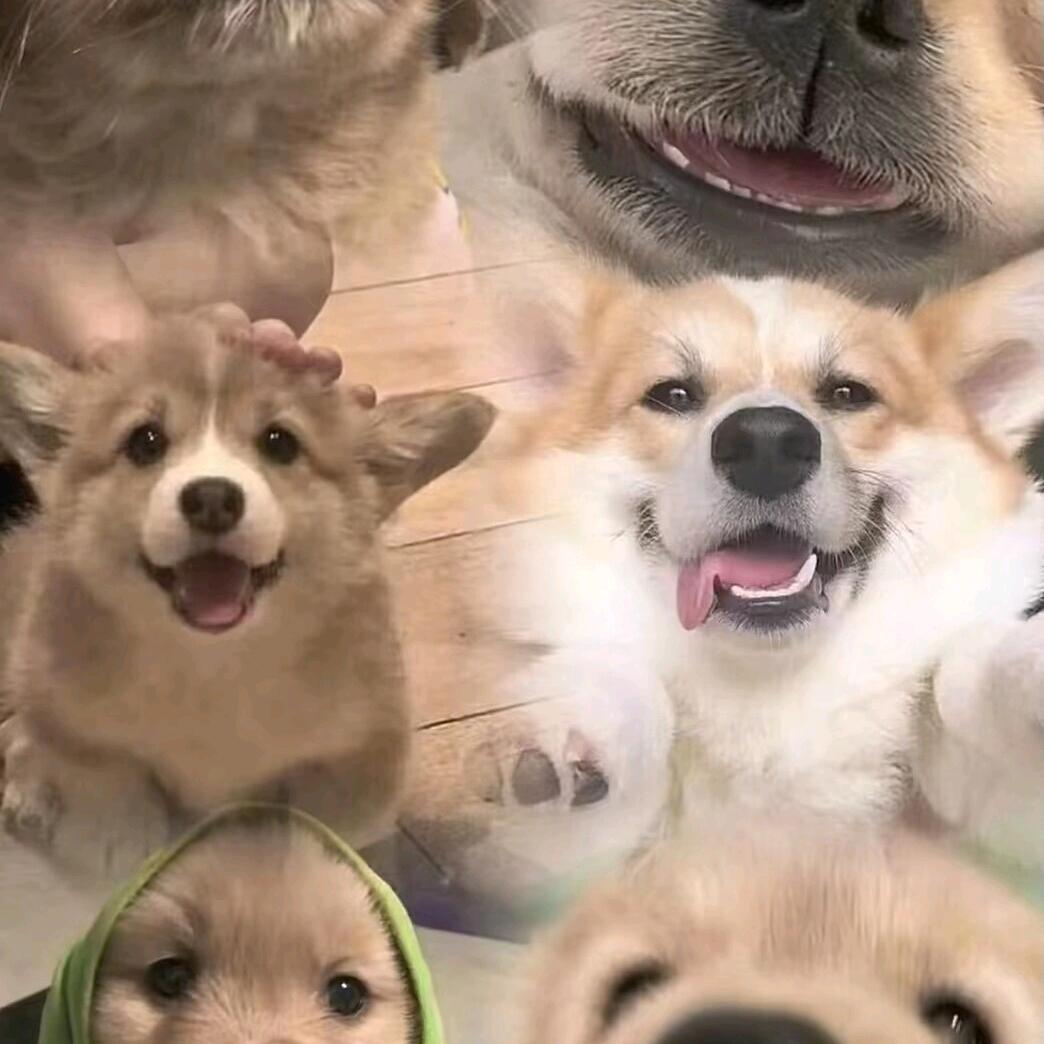 思绪.