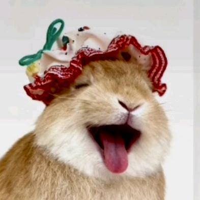 蛋黄和丧彪吖🐰