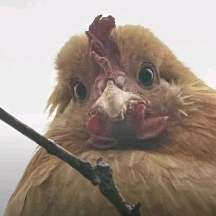 忧郁的村里人