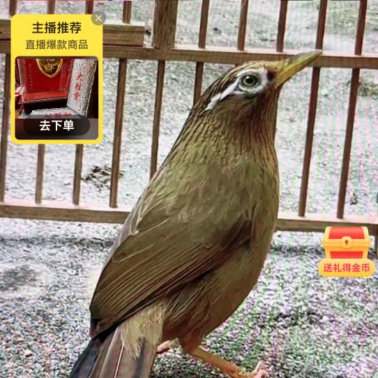 幸福就好