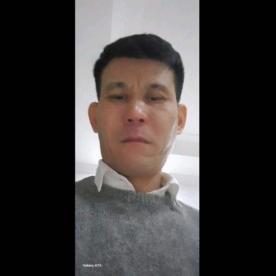 本年