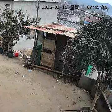 江湖浪人