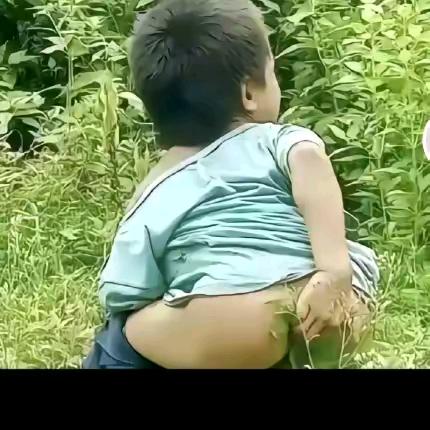 犯困嫌疑人
