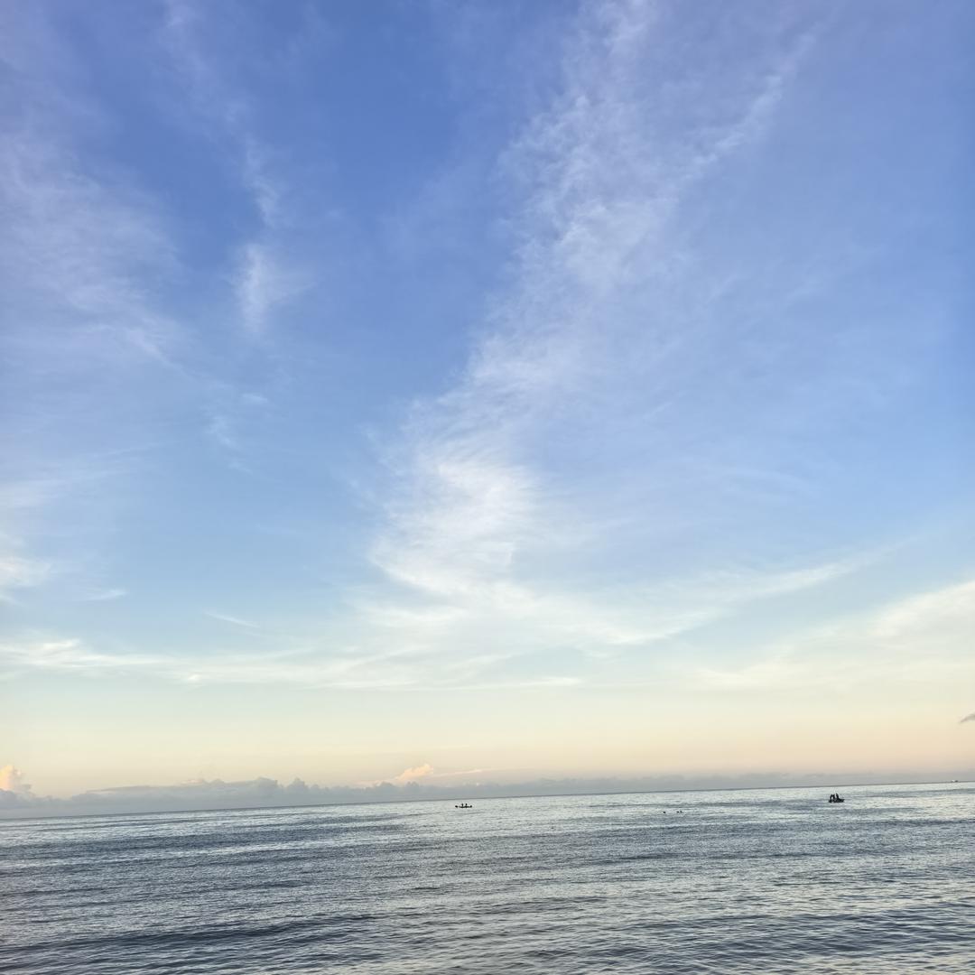 酒心巧克力