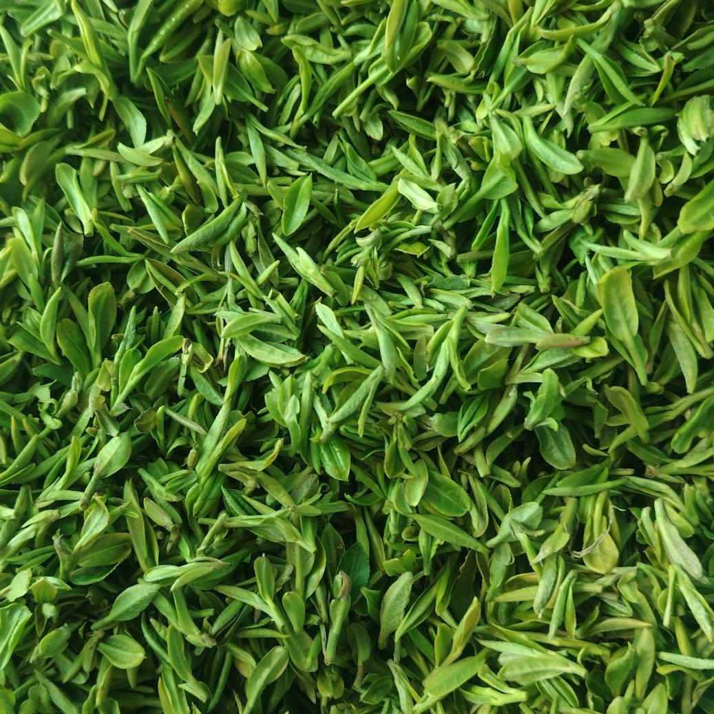 日照绿茶、山前茶叶厂（✧٩(ˊωˋ*)