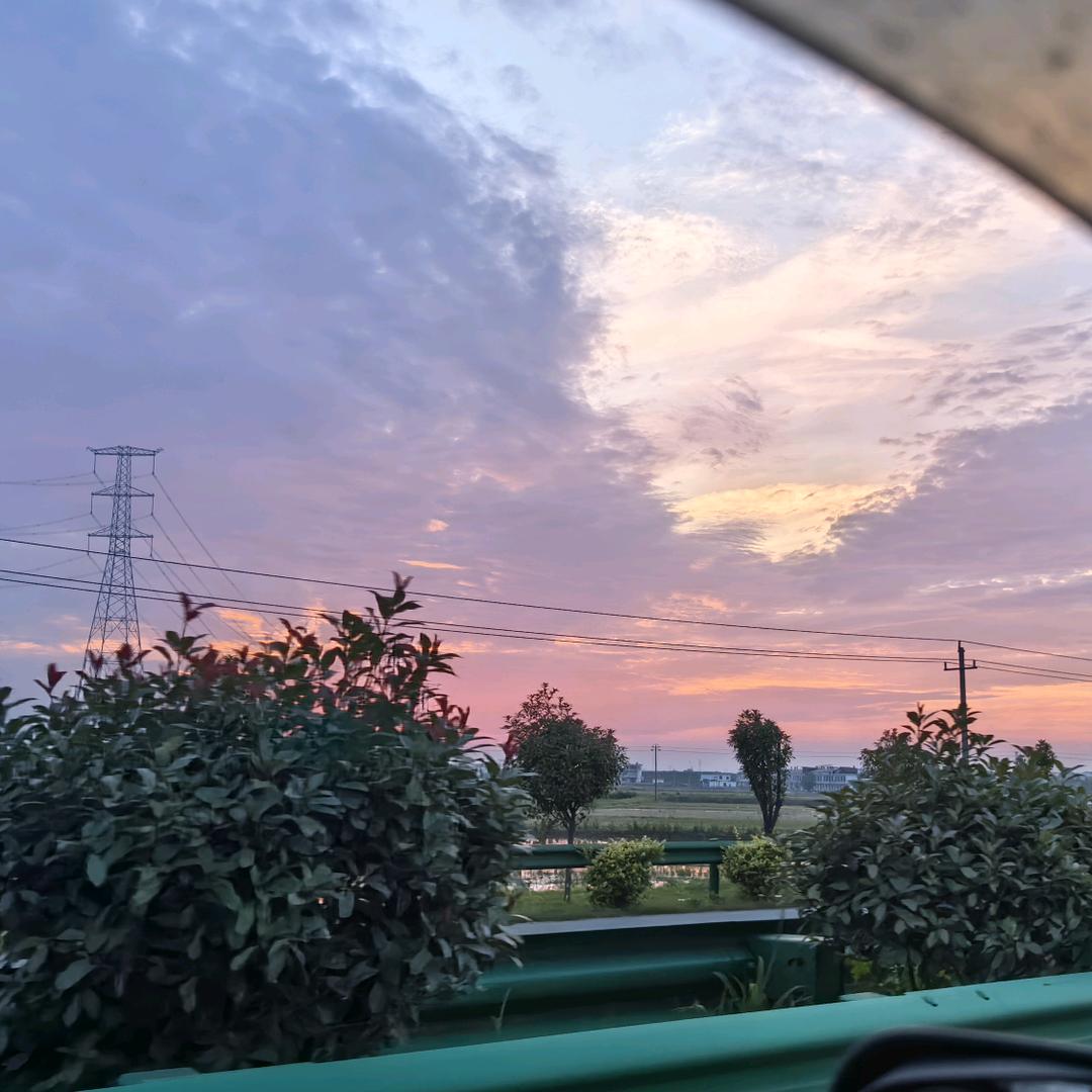 小鲨鱼