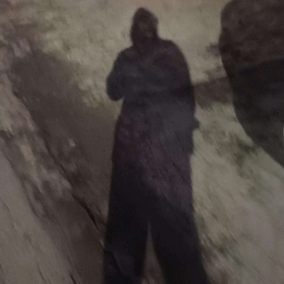 -逸忱卍