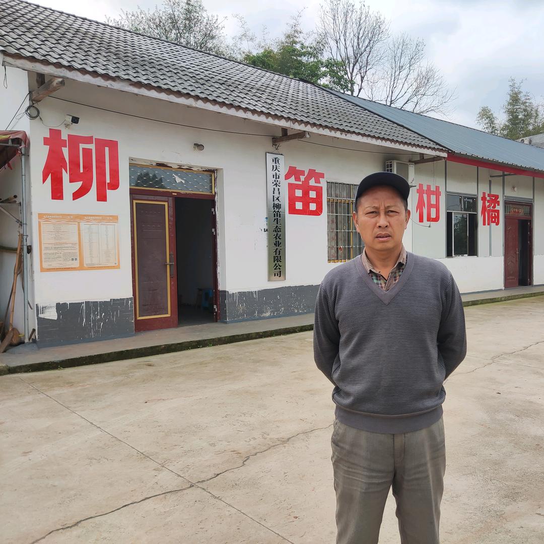 重庆荣昌柳笛柑橘园