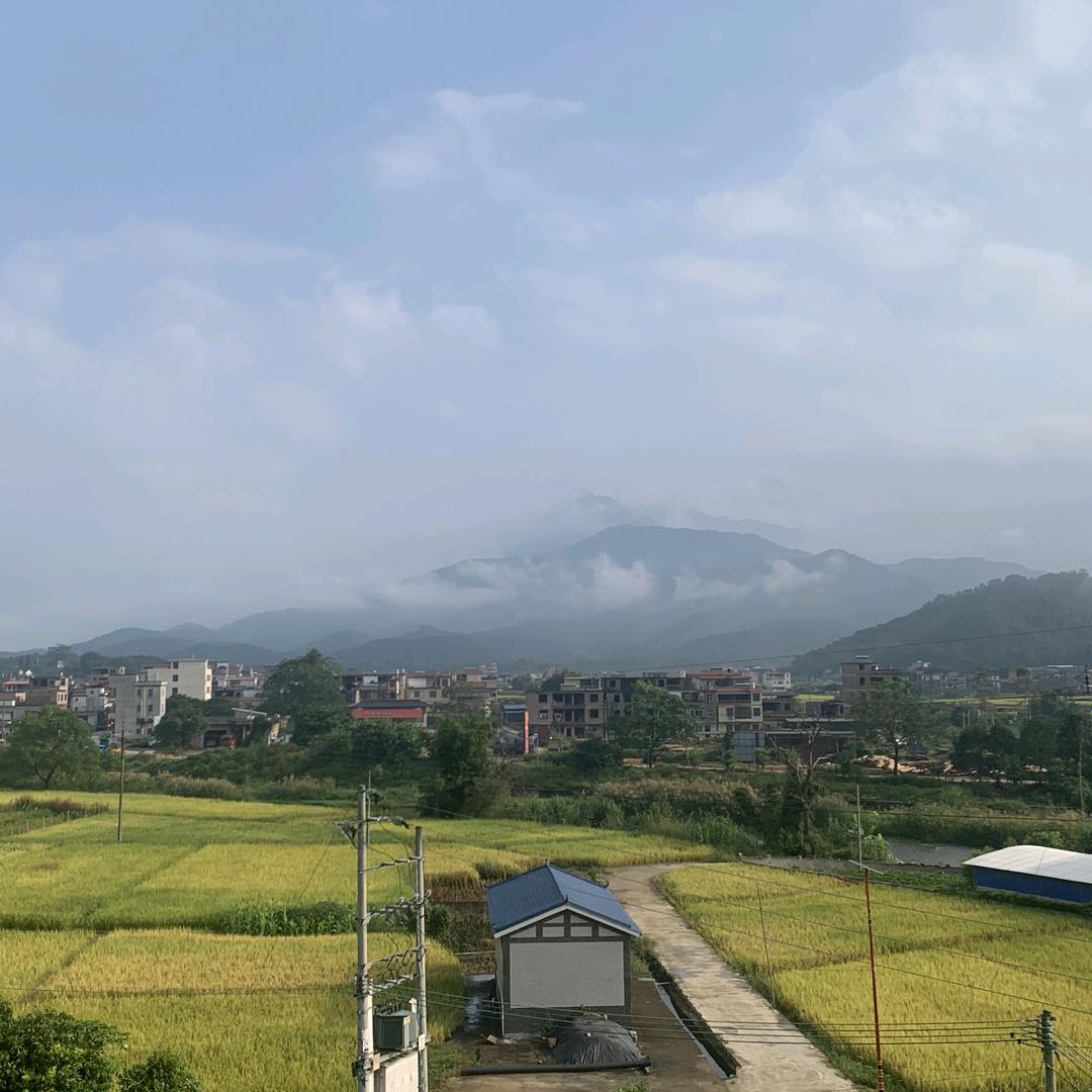 黄绍保