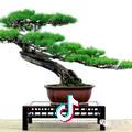 幸福勉强不来
