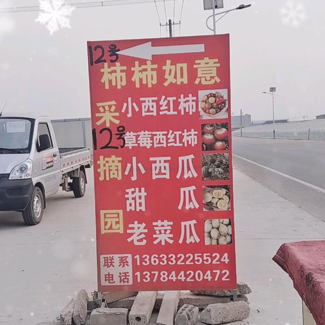 种棚人涛哥