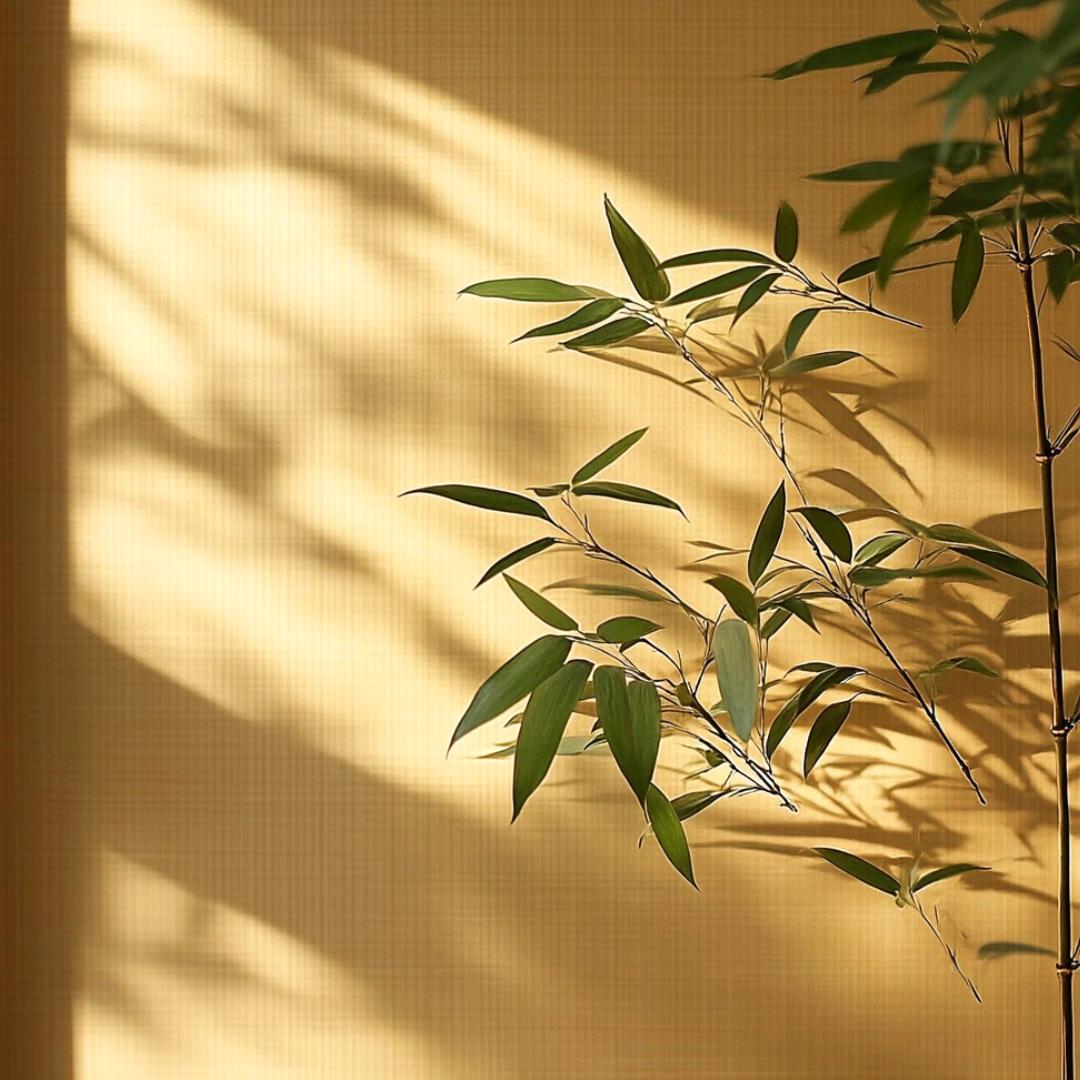 清辨