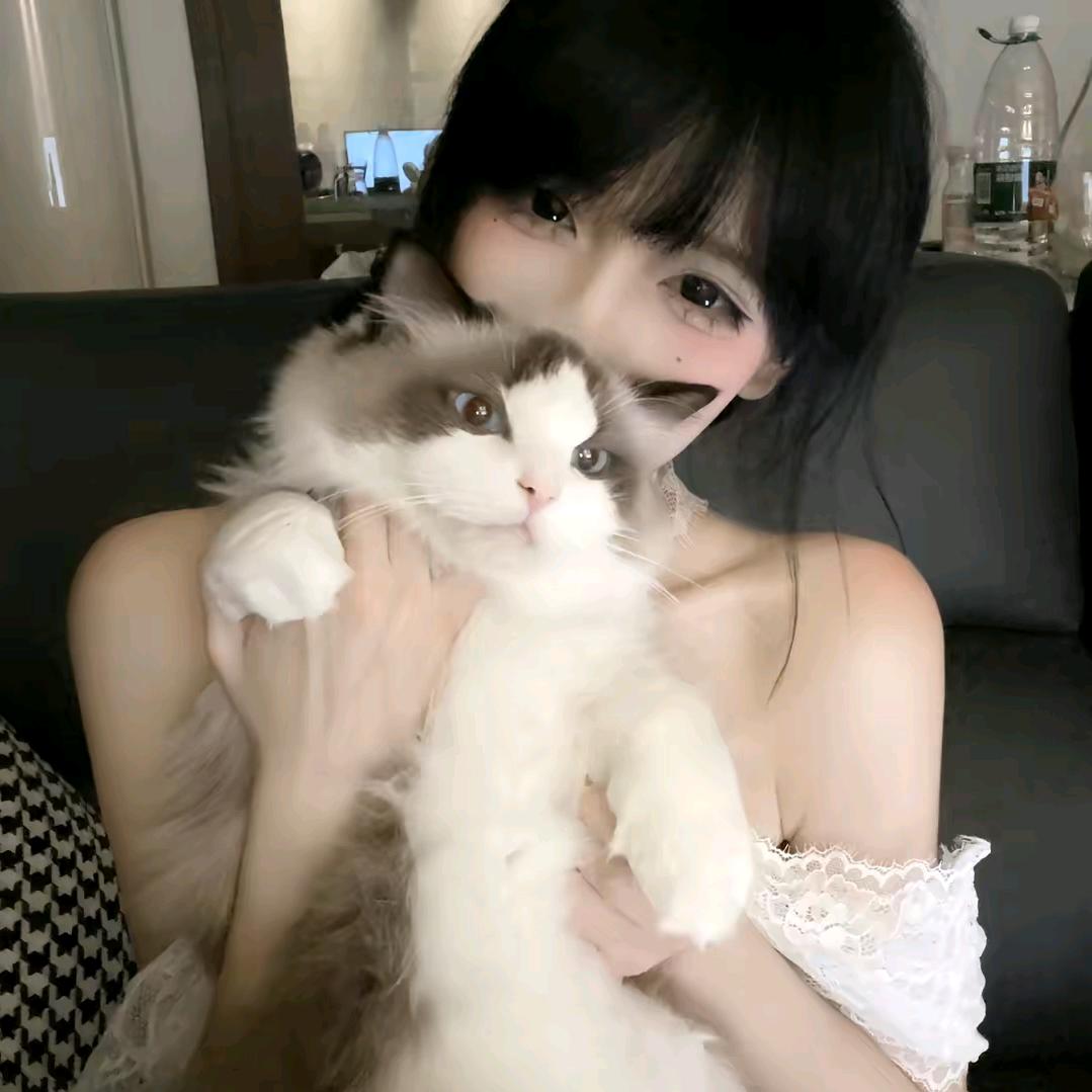 忘记小晨.